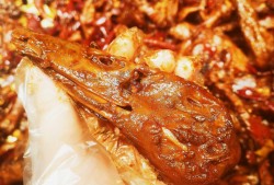 栖头鸭现捞加盟