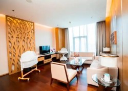 名媛月府月子会所加盟