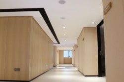 韩妃医学美容院加盟