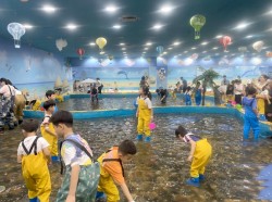 智得优儿童益智乐园加盟