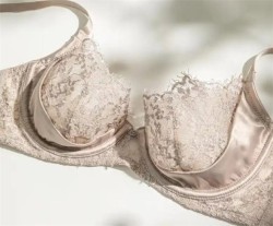 古蒂花内衣加盟