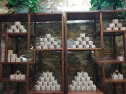 颐舒堂鼻炎馆加盟