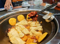 灶连灶地锅鸡加盟