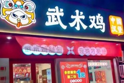 武术鸡中国汉堡