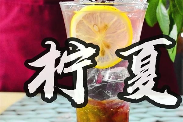 柠夏奶茶加盟