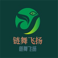 链舞飞扬