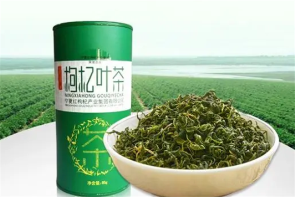 枸杞叶茶