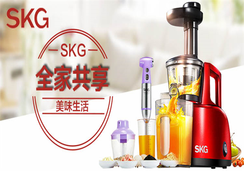 skg电器