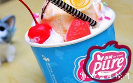 百纯冰淇淋加盟步骤和流程有哪些