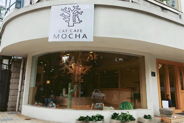 mocha猫咖