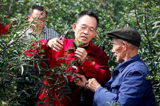 机遇造就德庄火锅，德庄自己创造了奇迹